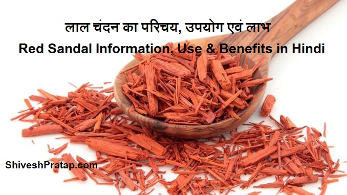 ल ल च दन क उपय ग एव ल भ Red Sandal Information Use Benefits